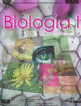 guia-completa-de-biologia-para-1o-de-bachillerato-como-abordar-la-materia-donde-encontrar-recursos-y-que-es-fundamental-para-tener-exito