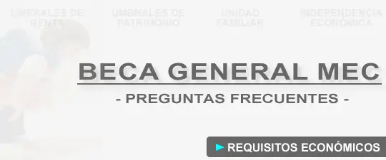 guia-completa-sobre-las-becas-mec-eso-requisitos-pasos-para-solicitarlas-y-donde-encontrar-informacion-actualizada