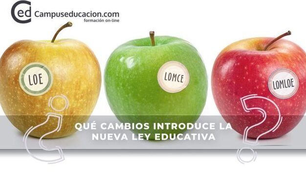 guia-completa-sobre-los-objetivos-de-la-etapa-de-bachillerato-segun-la-lomloe-como-cumplirlos-y-donde-encontrar-informacion