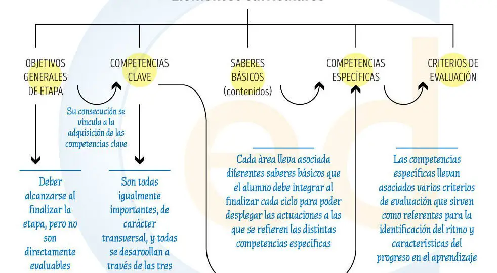 pasos-para-establecer-objetivos-educativos-en-la-etapa-de-educacion-infantil