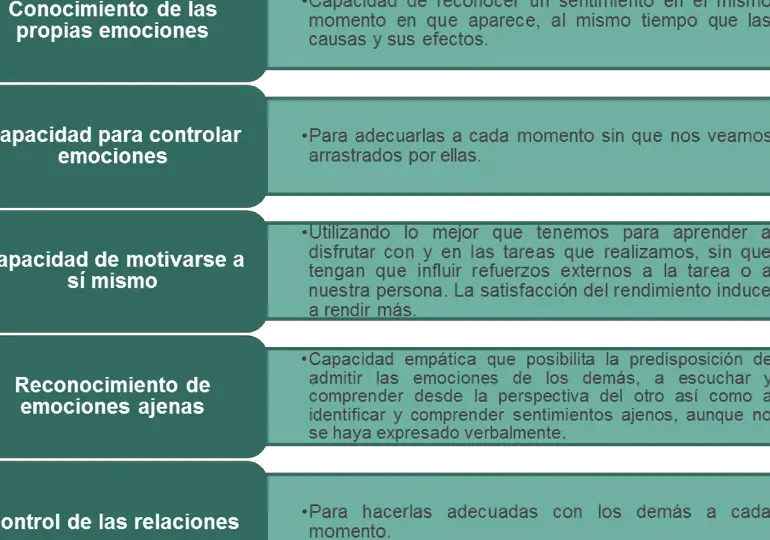 que-es-la-educacion-emocional-y-como-implementarla-en-la-vida-diaria-pasos-para-fortalecer-tus-habilidades-emocionales-y-mejorar-tu-bienestar